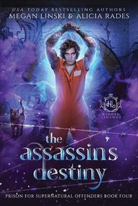 Cover image for The Assassin's Destiny