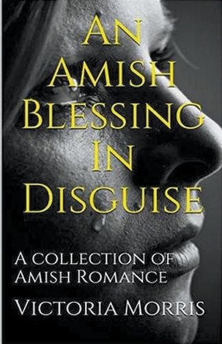 Cover image for An Amish Blessing In Disguise