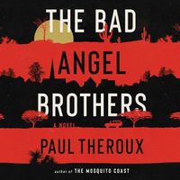 Cover image for The Bad Angel Brothers