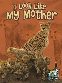 Cover image for I Look Like My Mother