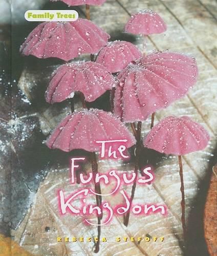 The Fungus Kingdom