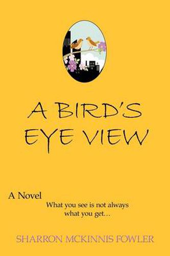 Cover image for A Bird's Eye View: What You See Is Not Always What You Get