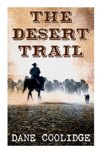 Cover image for The Desert Trail: Western Novel