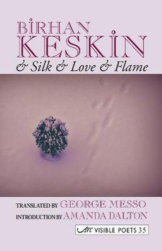 Cover image for And Silk and Love and Flame