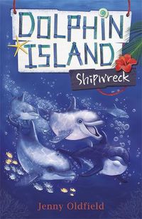Cover image for Dolphin Island: Shipwreck: Book 1