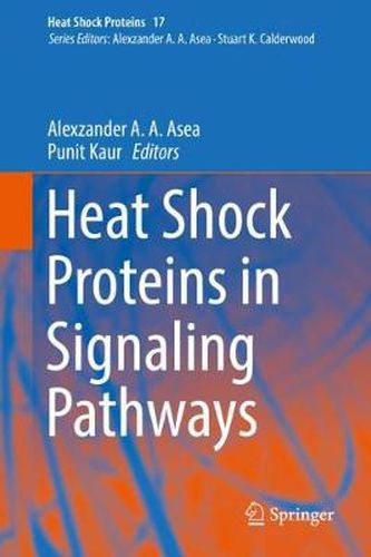 Cover image for Heat Shock Proteins in Signaling Pathways