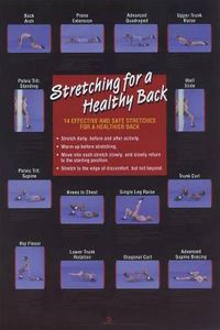 Cover image for Stretching for a Healthy Back