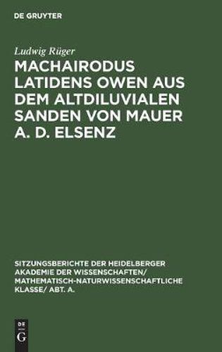 Cover image for Machairodus Latidens Owen Aus Dem Altdiluvialen Sanden Von Mauer A. D. Elsenz