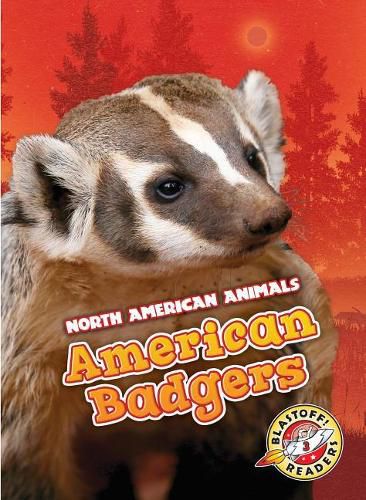 American Badgers