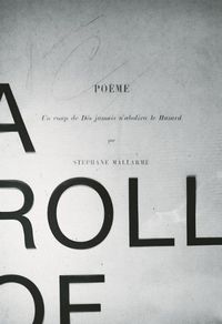Cover image for A Roll of the Dice