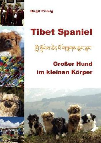 Cover image for Tibet Spaniel: Grosser Hund im kleinen Koerper