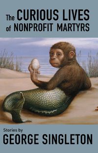 Cover image for The Curious Lives of Nonprofit Martyrs