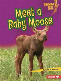 Cover image for Meet a Baby Moose