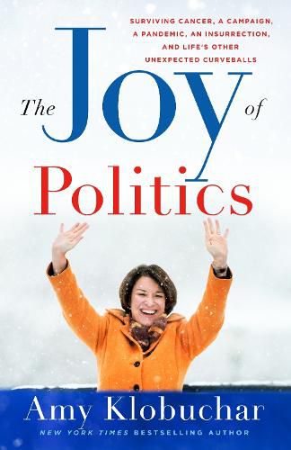 Cover image for The Joy of Politics