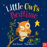 Cover image for Little Owl's Bedtime