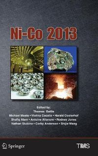 Cover image for Ni-Co 2013