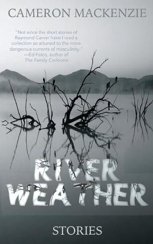 Cover image for River Weather