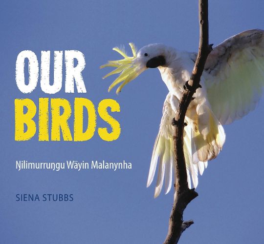 Cover image for Our Birds: Nilimurrungu Wayin Malanynha
