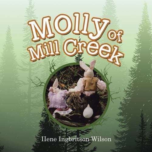 Cover image for Molly of Mill Creek