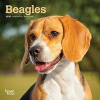 Cover image for Beagles 2020 Mini Wall Calendar