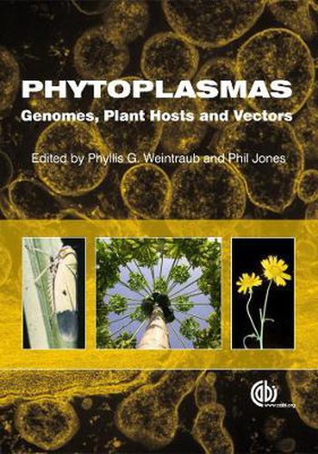 Phytoplasmas: Genomes, Plant Hosts and Vectors