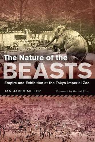 Cover image for The Nature of the Beasts: Empire and Exhibition at the Tokyo Imperial Zoo