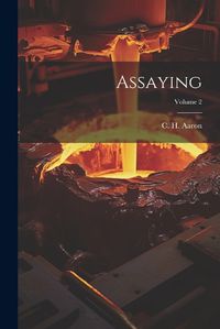 Cover image for Assaying; Volume 2