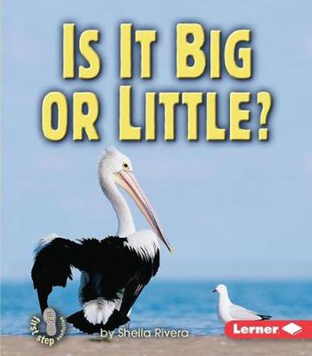 Cover image for Is it Big or Little ?