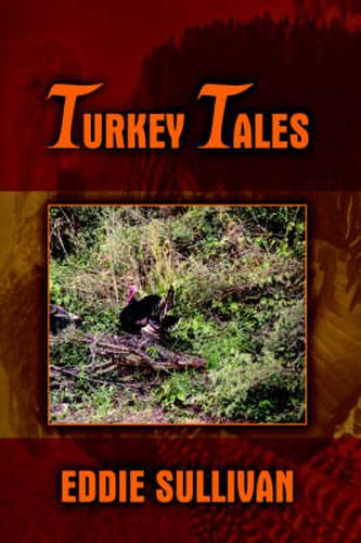 Cover image for Turkey Tales