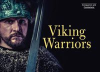 Cover image for Viking Warriors