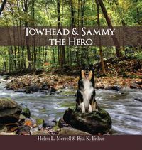 Cover image for Towhead and Sammy The Hero