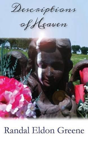 Cover image for Descriptions of Heaven