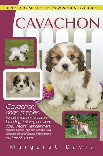 Cavachon