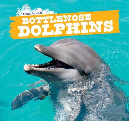 Bottlenose Dolphins