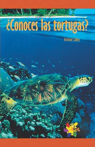 Cover image for Conoces Las Tortugas