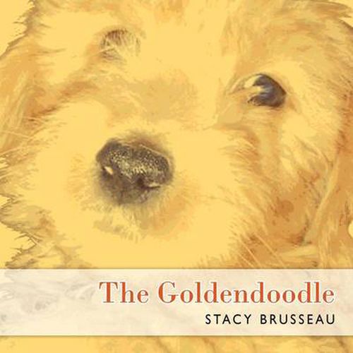 Cover image for The Goldendoodle