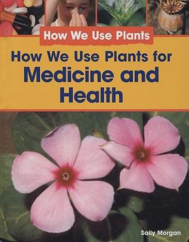 How We Use Plants for Medicine and Health