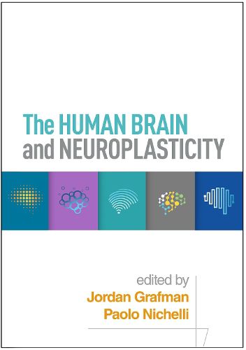 Cover image for The Human Brain and Neuroplasticity