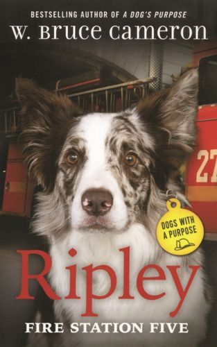 Cover image for Ripley