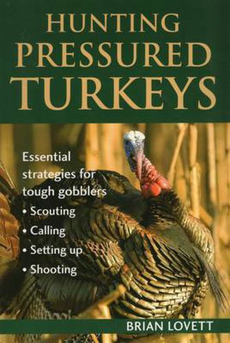 Cover image for Hunting Pressured Turkeys