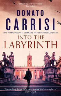 Cover image for Into the Labyrinth