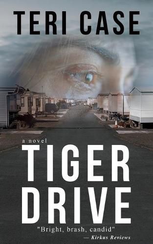 Cover image for Tiger Drive
