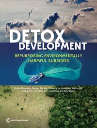 Cover image for Detox Development