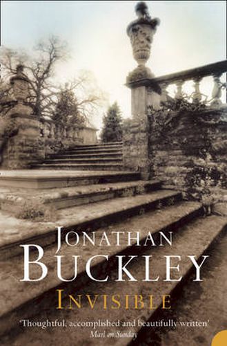 Cover image for Invisible