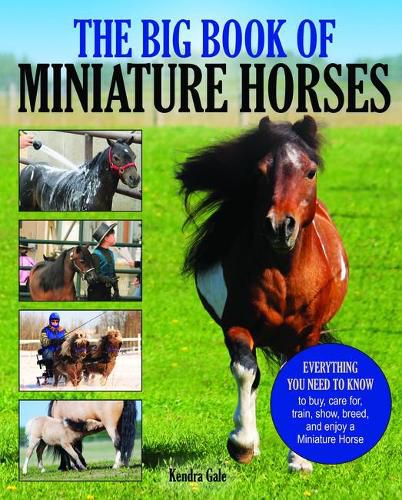 Cover image for The Big Book of Miniature Horses: Everything You Need to Know to Buy, Care For, Train, Show, Breed, and Enjoy a Miniature Horse of Your Own