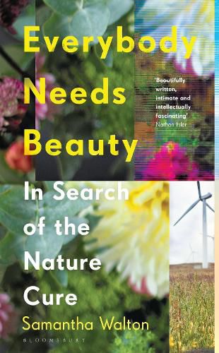 Cover image for Everybody Needs Beauty: In Search of the Nature Cure