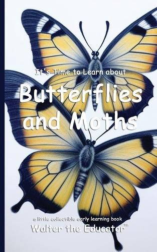 Cover image for It's Time to Learn about Butterflies and Moths