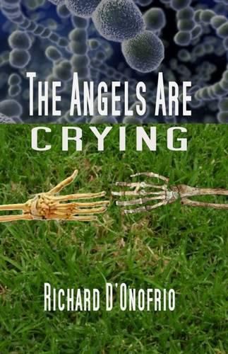 Cover image for The Angels are Crying