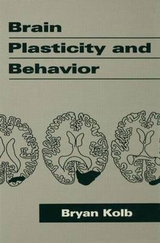 Cover image for Brain Plasticity and Behavior