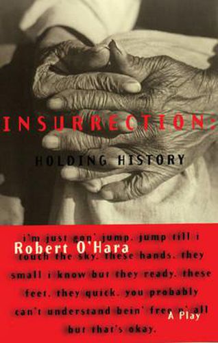 Cover image for Insurrection: Holding History